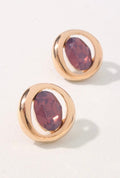 Oval Framed Earrings